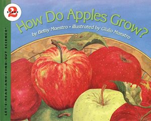 20 Sumptuous Picture Books About Apples 24