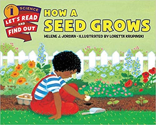 How a seed Grows